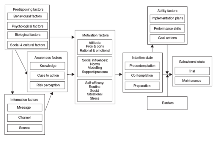 2003_I-change model_de Vries