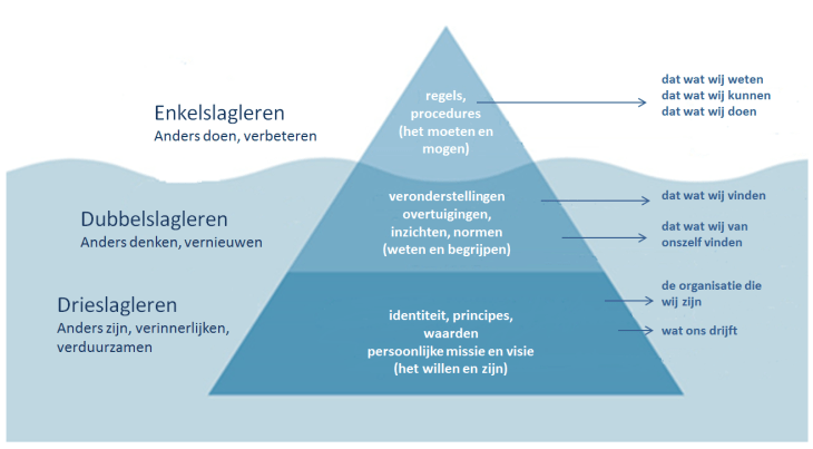 Drieslagleren en de ijsberg van McClelland - organisatie niveau